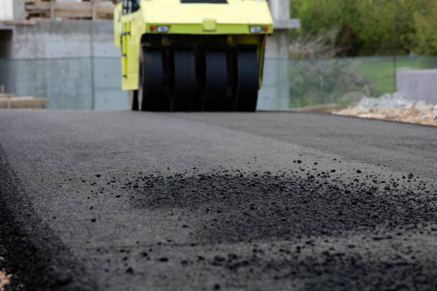 Best Professional Driveway Pavers  in Perham, MN