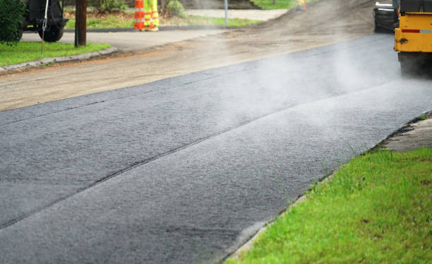Best Local Driveway Pavers  in Perham, MN
